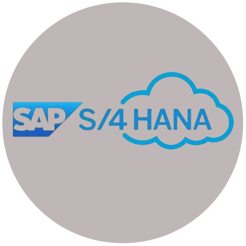 SAP S4 HANA Public Cloud