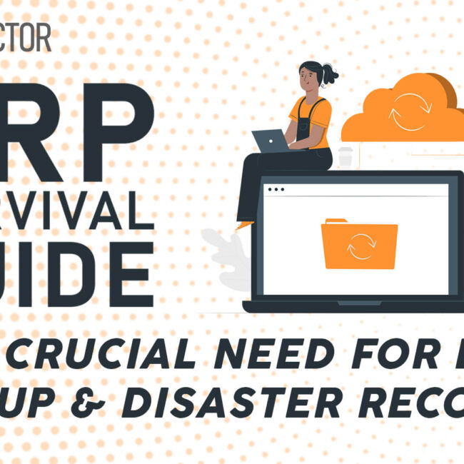 ERP Data Backup and Disaster Recovery