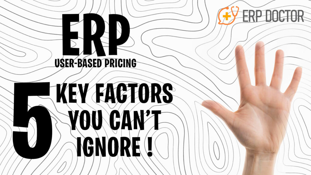 ERP User Based Pricing