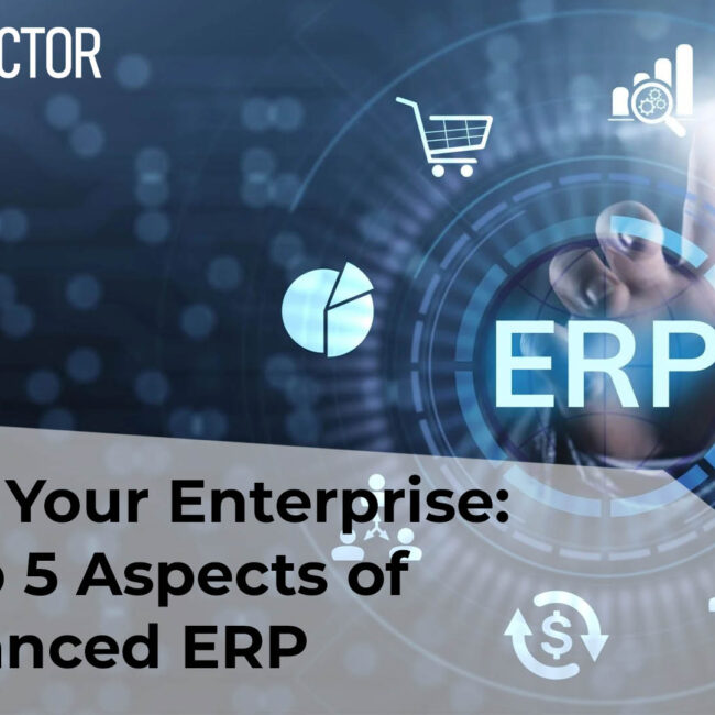 Aspects of AI-Enhanced ERP