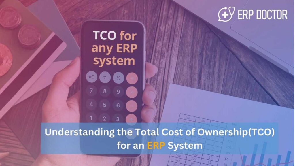 Understanding the Total Cost of Ownership(TCO) for an ERP System