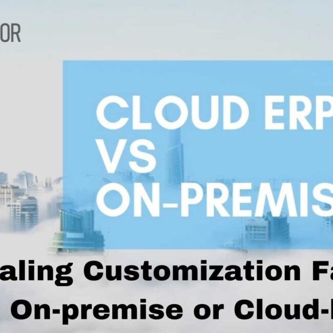 Revealing Customization Factor for an On-premise or Cloud-based ERP