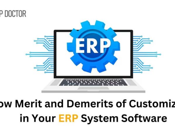 Know Merit and Demerits of Customization in Your ERP System Software