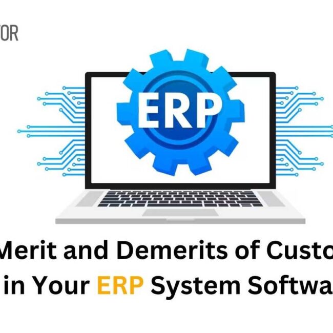 Know Merit and Demerits of Customization in Your ERP System Software