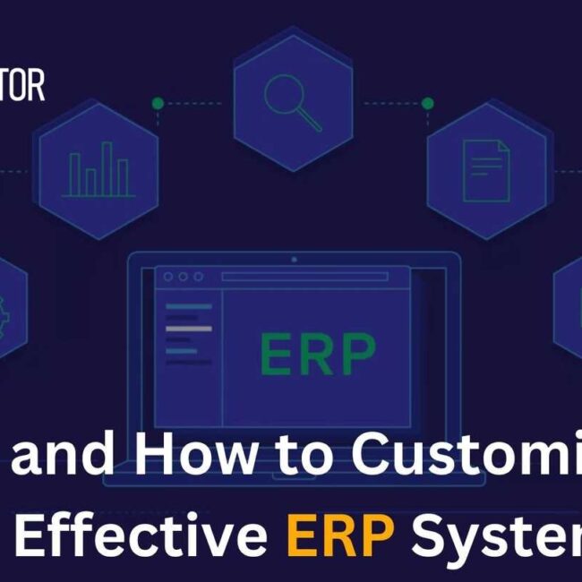 When and How to Customize Your Effective ERP System