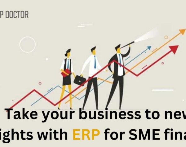 Take your business to new heights with ERP for SME finance