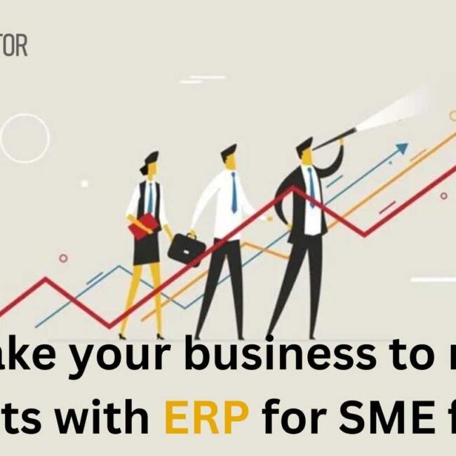 Take your business to new heights with ERP for SME finance