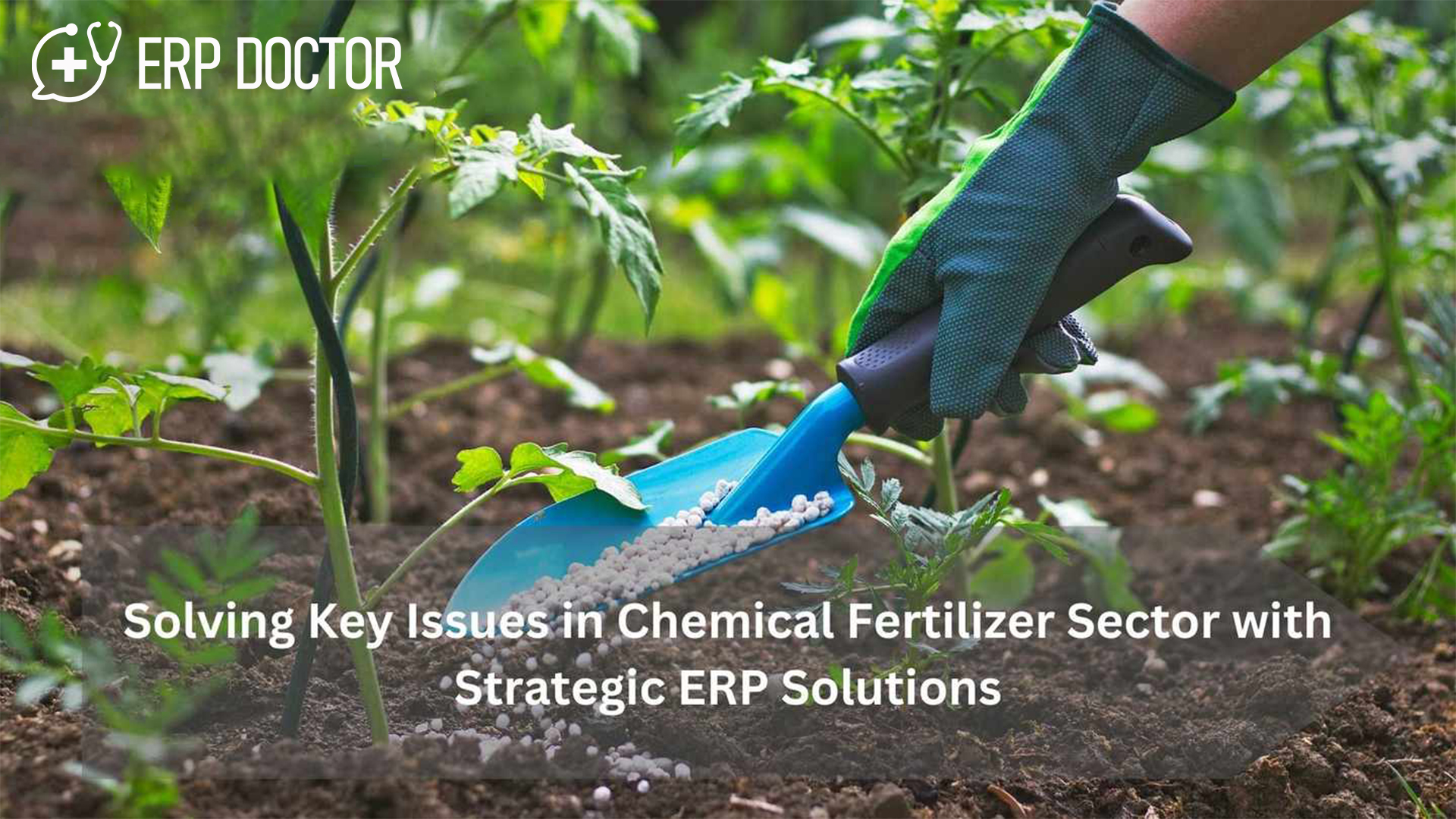 Solving Key Issues in Chemical Fertilizer Sector with Strategic ERP Solutions