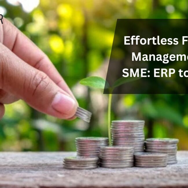 Effortless Financial Management for SME: ERP to Rescue