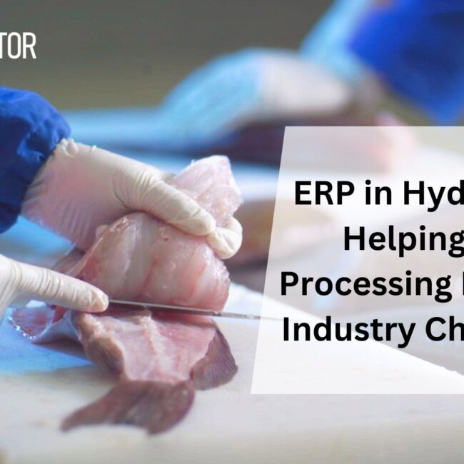 ERP in Hyderabad: Helping Fish Processing Navigate Industry Challenges