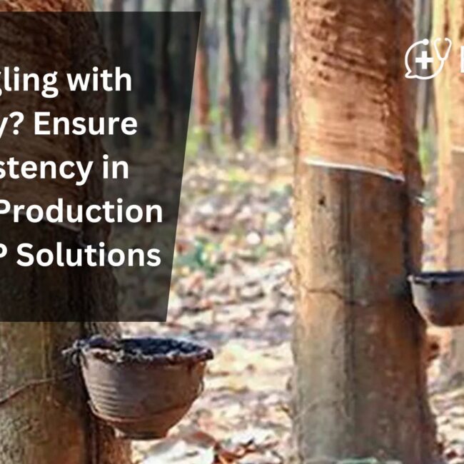 Struggling with Quality? Ensure Consistency in Rubber Production with ERP Solutions