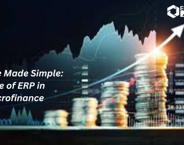 Finance Made Simple: Role of ERP in Microfinance