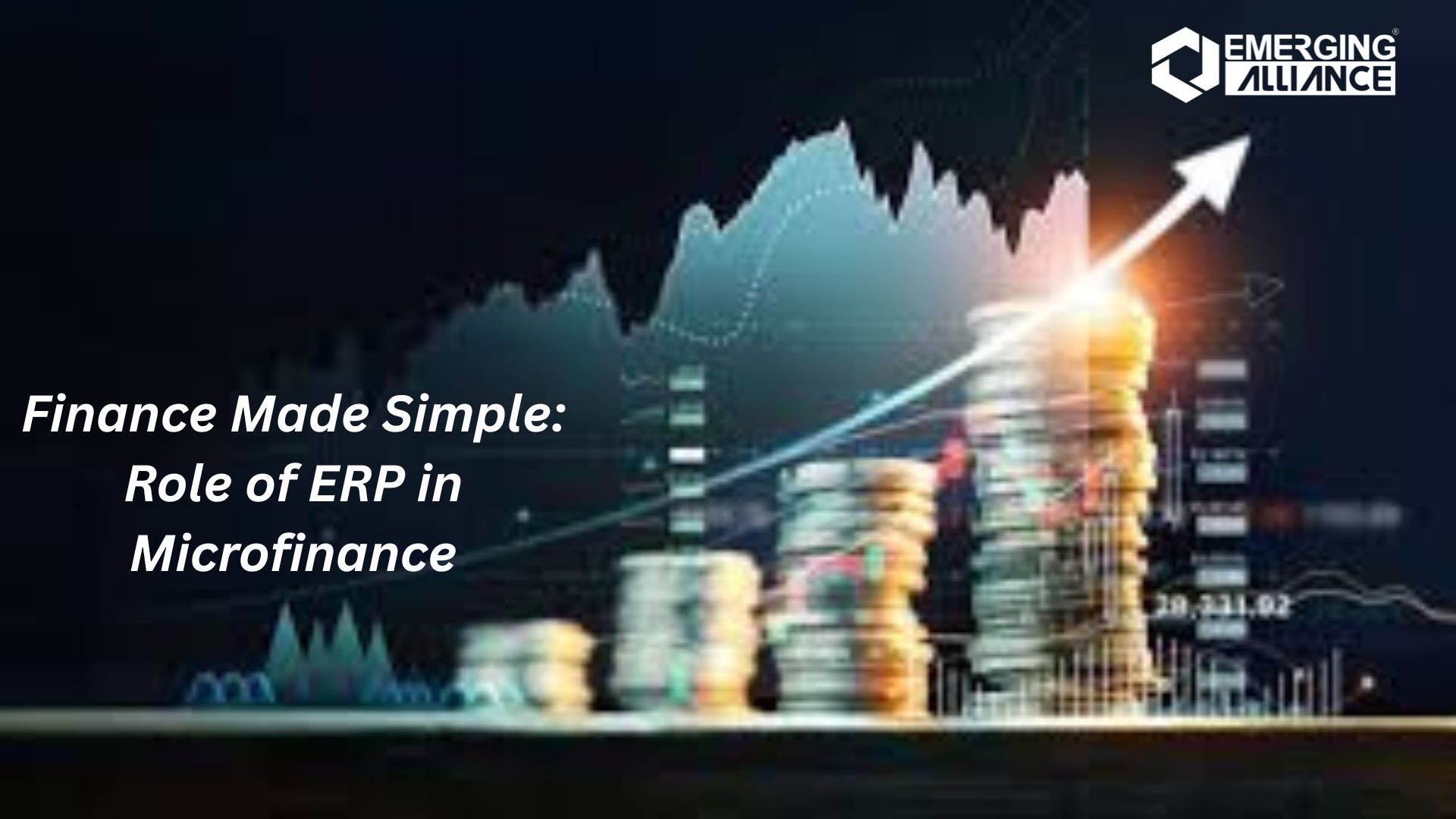 Finance Made Simple: Role of ERP in Microfinance