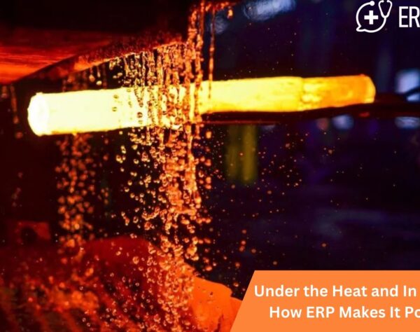 Under the Heat and In Control: How ERP Makes It Possible