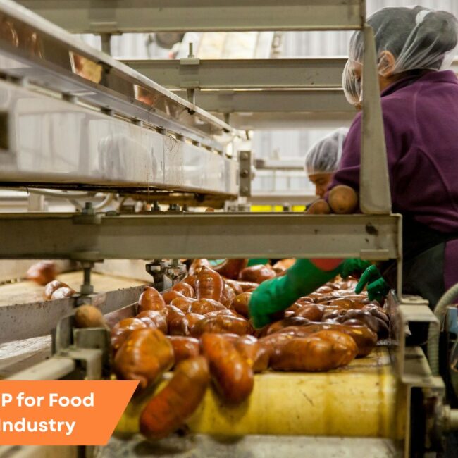 Modern food processing plant with digital interface overlay representing ERP technology enhancing operations and traceability in the food processing industry.