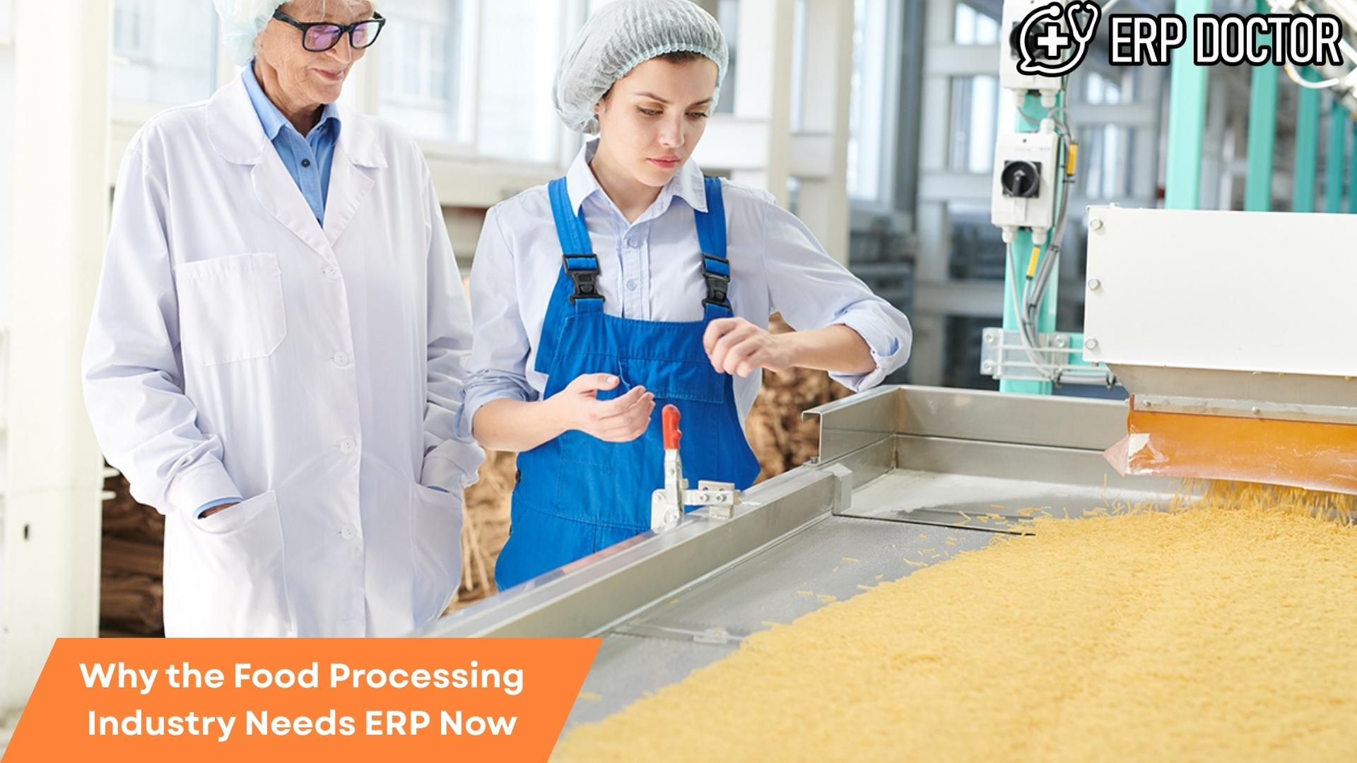 Illustration showing ERP software optimizing operations in the food processing industry for efficiency and growth.