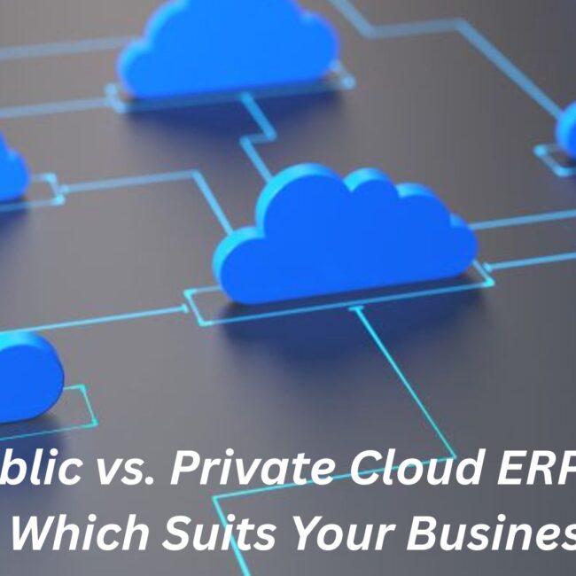 Public vs. Private Cloud ERP Hosting – Which Suits Your Business Best?