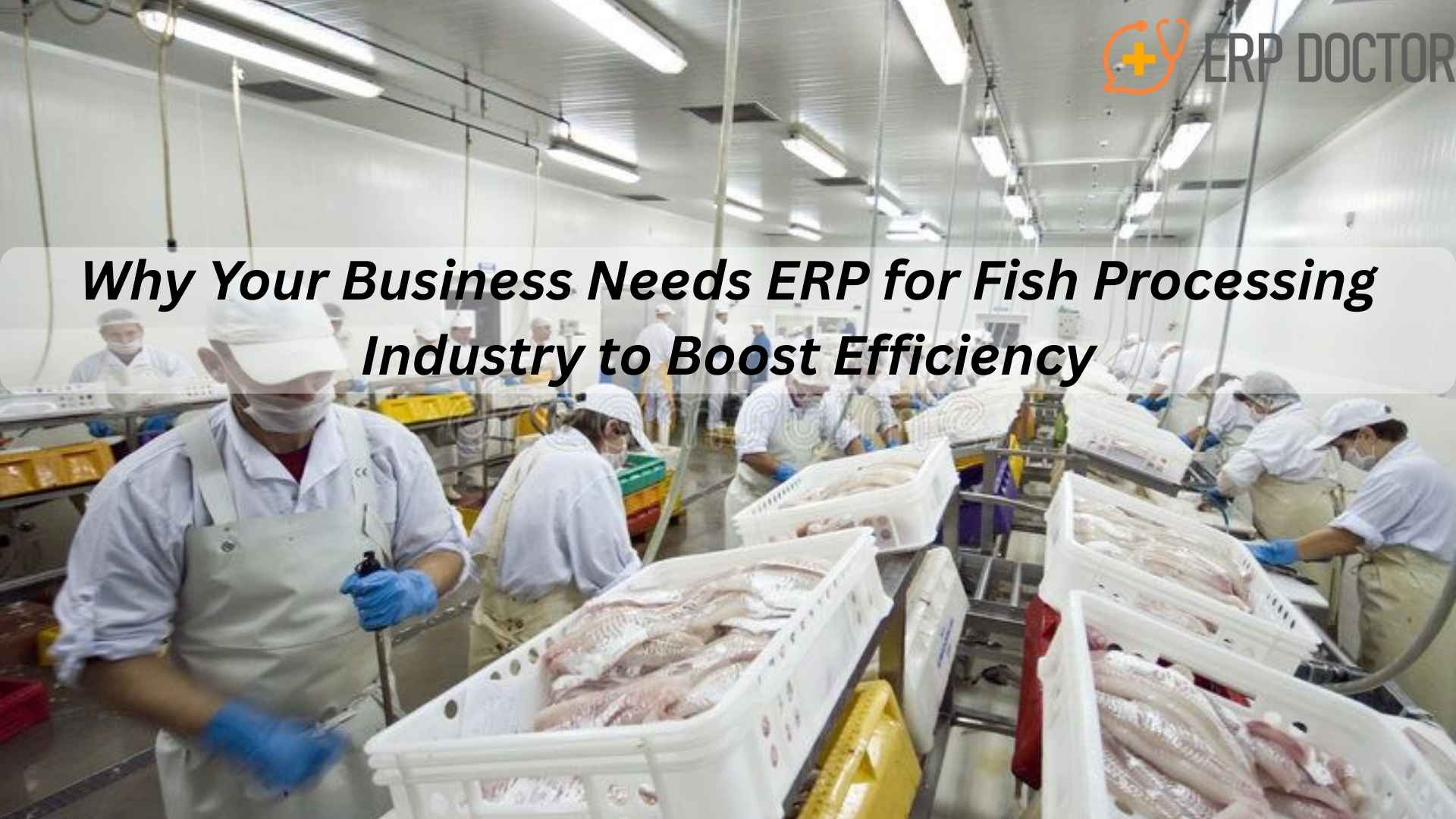 ERP for Fish Processing Industry streamlines plant automation, quality control, and supply chain management