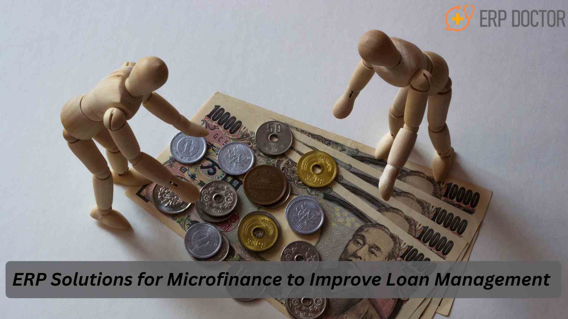 ERP Solutions for Microfinance Institutions managing loans and finances efficiently
